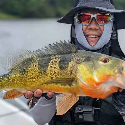Private Fishing in the Panama Canal, Gatun Lake